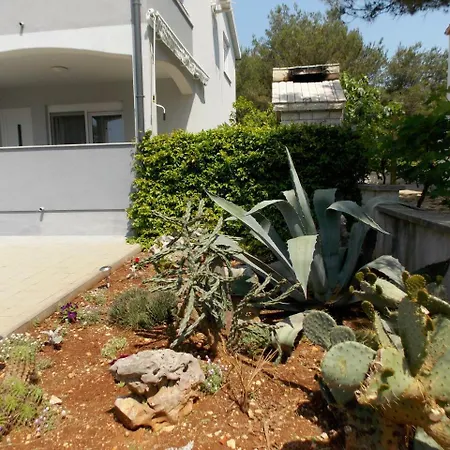 Apartment Vir Apartment Vir