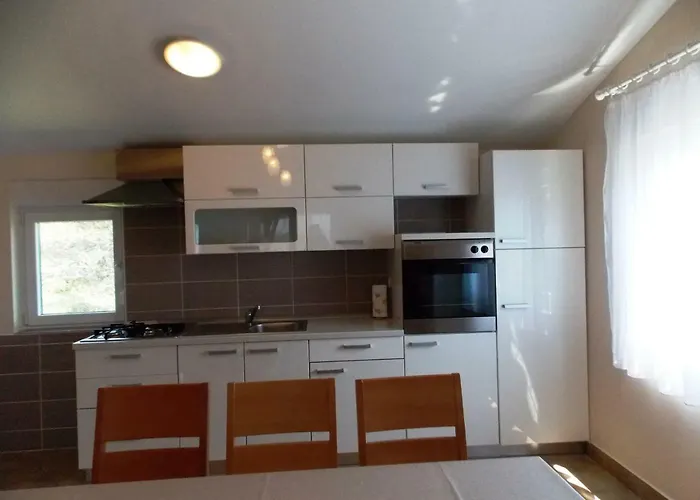 Apartment Vir Apartment